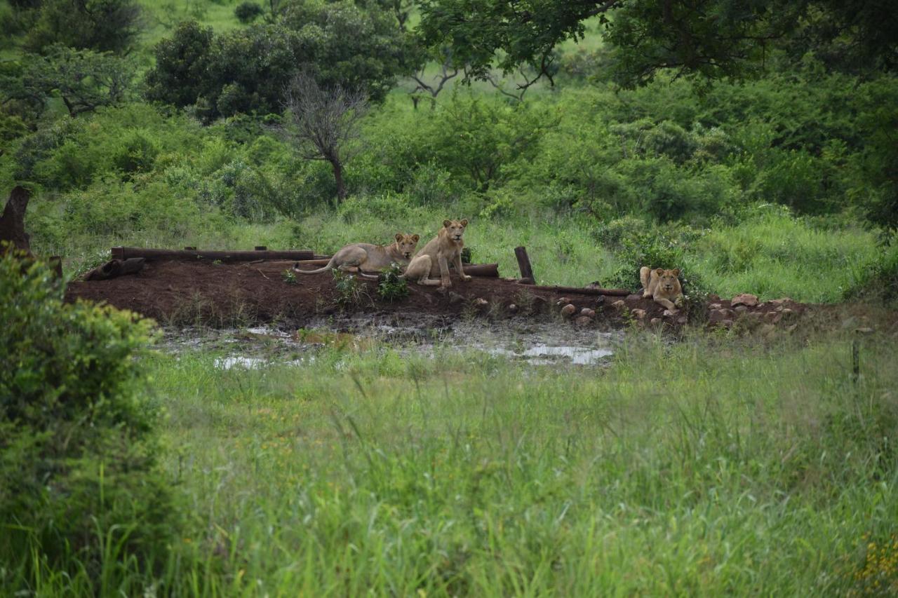 African Spirit Game Lodge Mkuze Extérieur photo